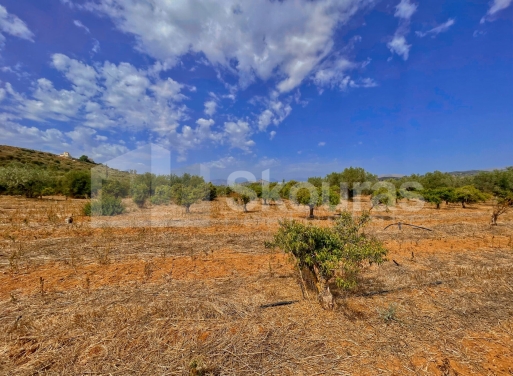 Land in Lefkakia - Image 3