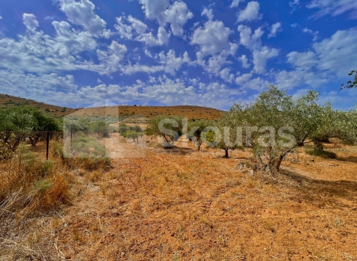 Land in Lefkakia - Image 2