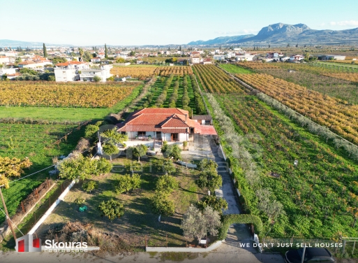 House in Asos - view 1