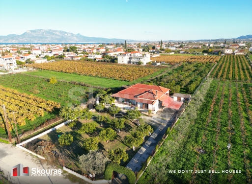 House in Asos - Image 3