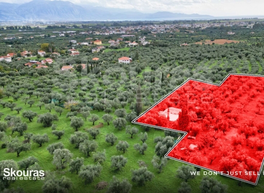 House in Mavrommati - Image 3