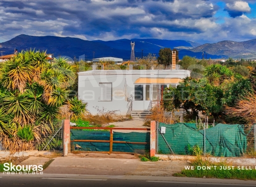 House in Dhalamanara