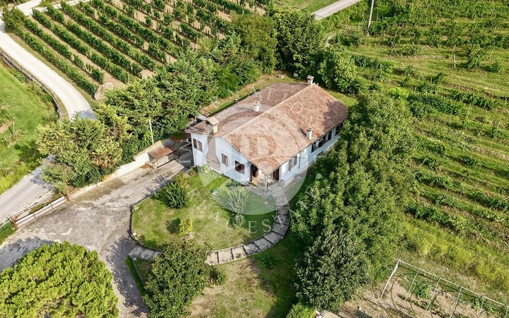 Villa in Vo' - view 1