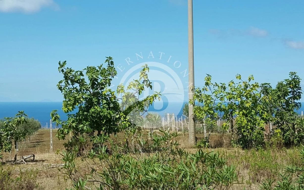 Villa in Ricadi - Image 3