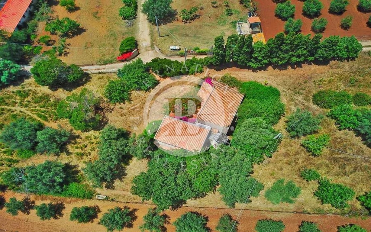 Villa in Ricadi - Image 2