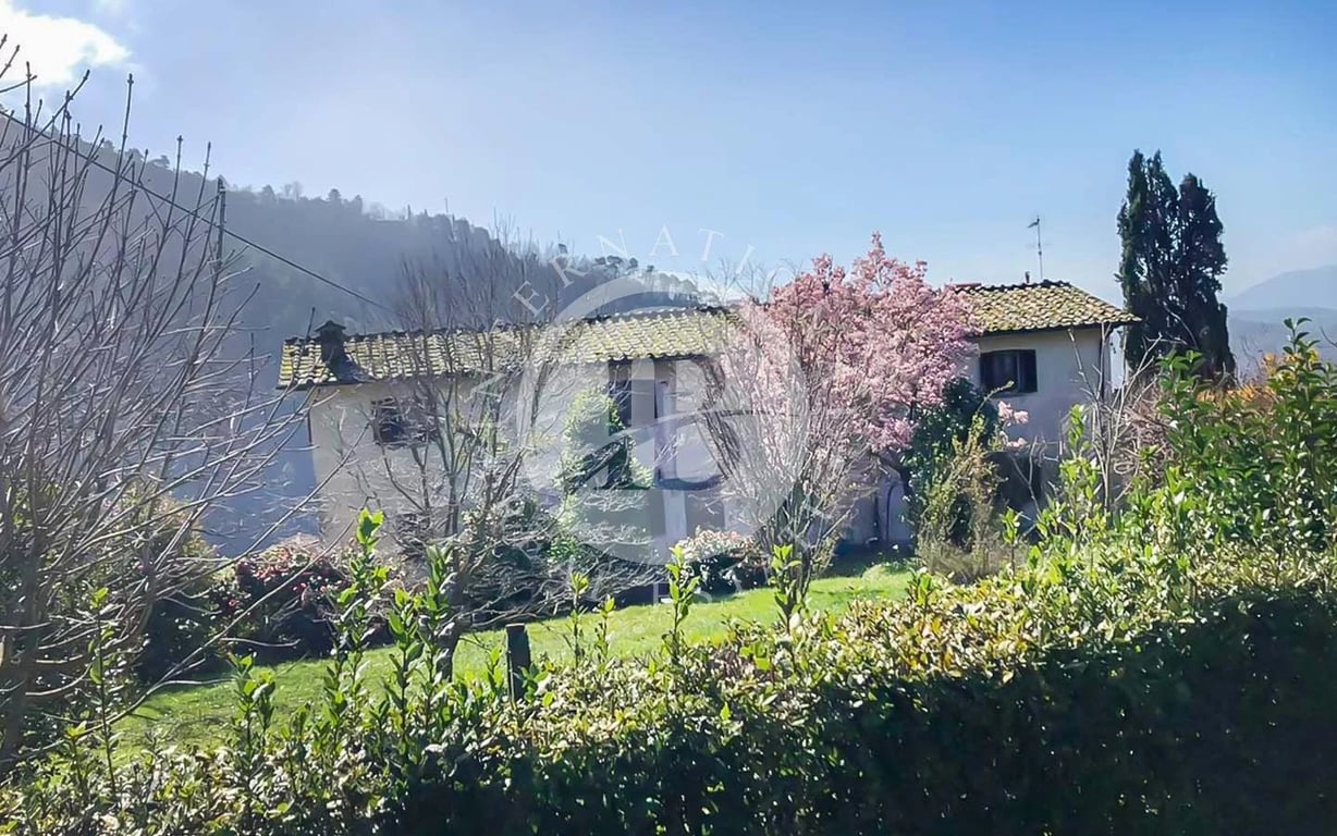 Villa in Lucca - Image 3
