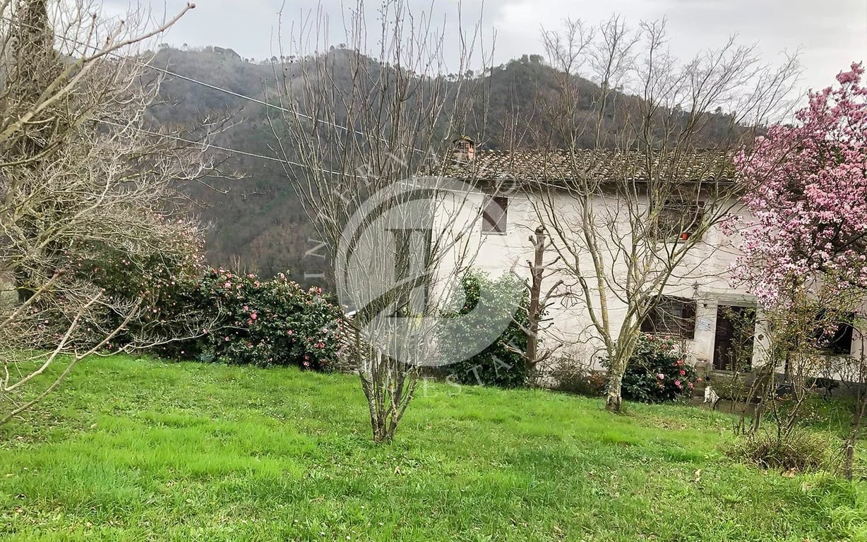 Villa in Lucca - Image 2