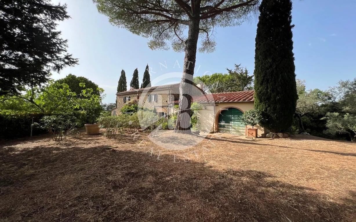 Villa in Guardistallo - Image 3