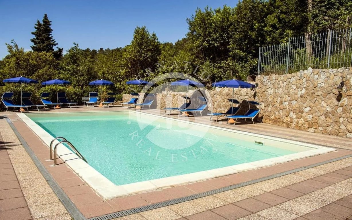 Villa in Riparbella - Image 2