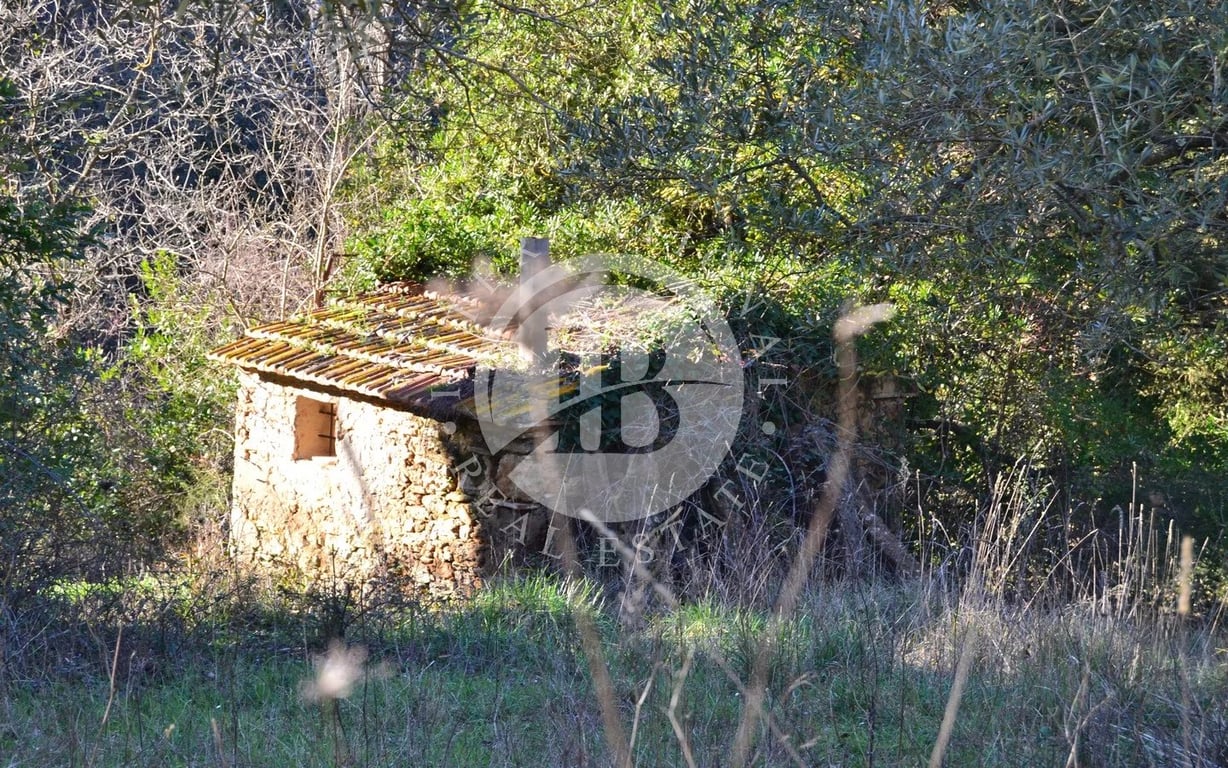 Villa in Montescudaio - Image 2