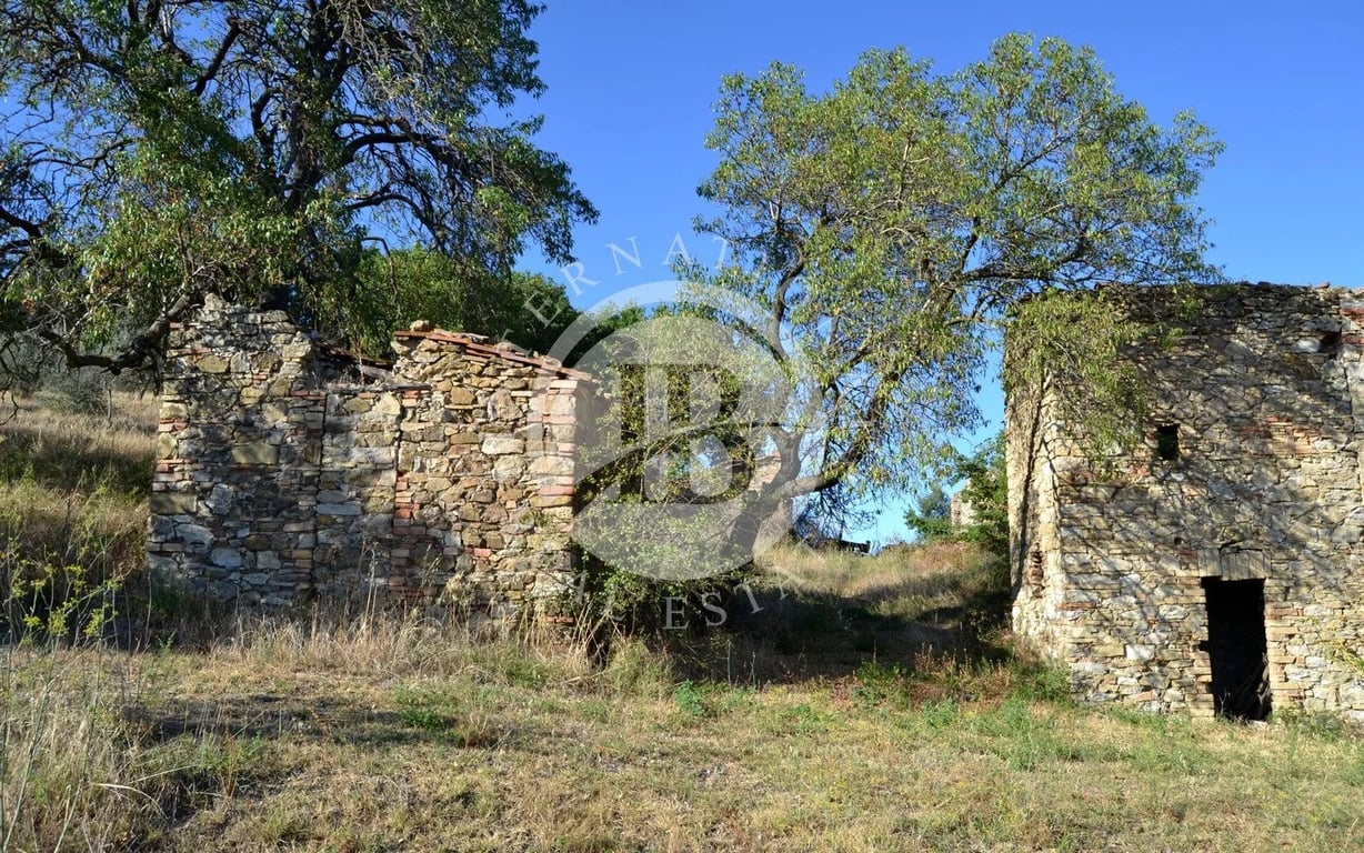 Villa in Montecastelli Pisano - Image 2