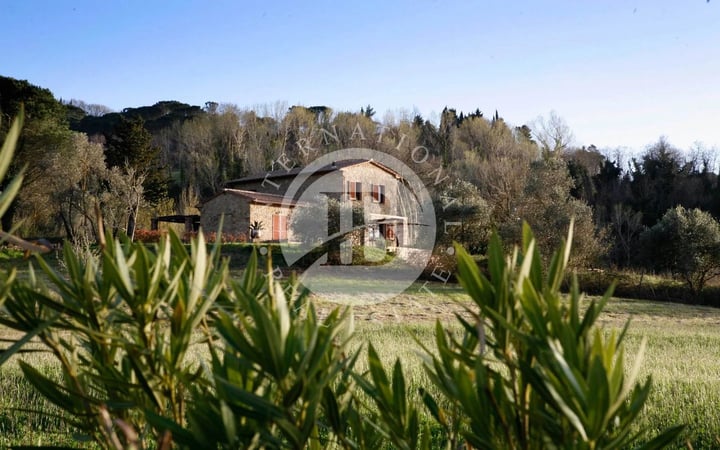 Villa in Montescudaio - view 1