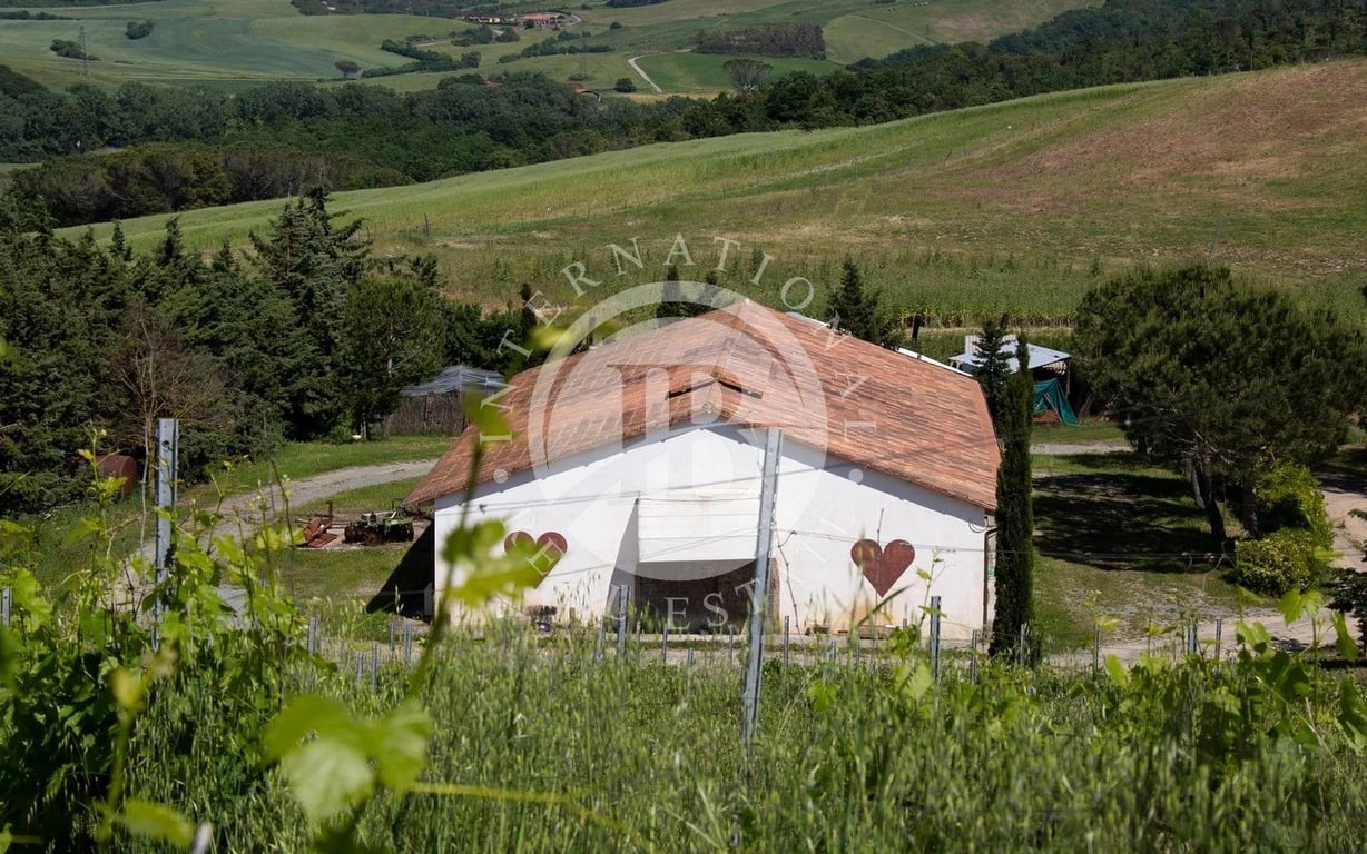 Villa in Guardistallo - Image 2