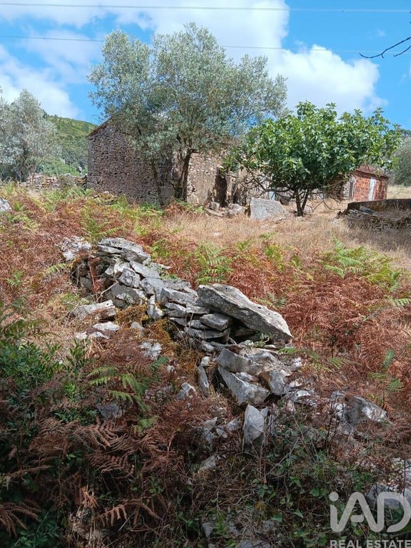 House in Aljubarrota