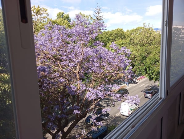 Apartment in Marbella - view 1