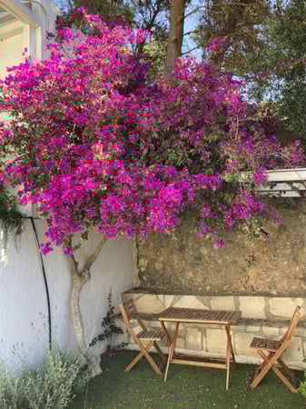 Villa in Galini - view 1