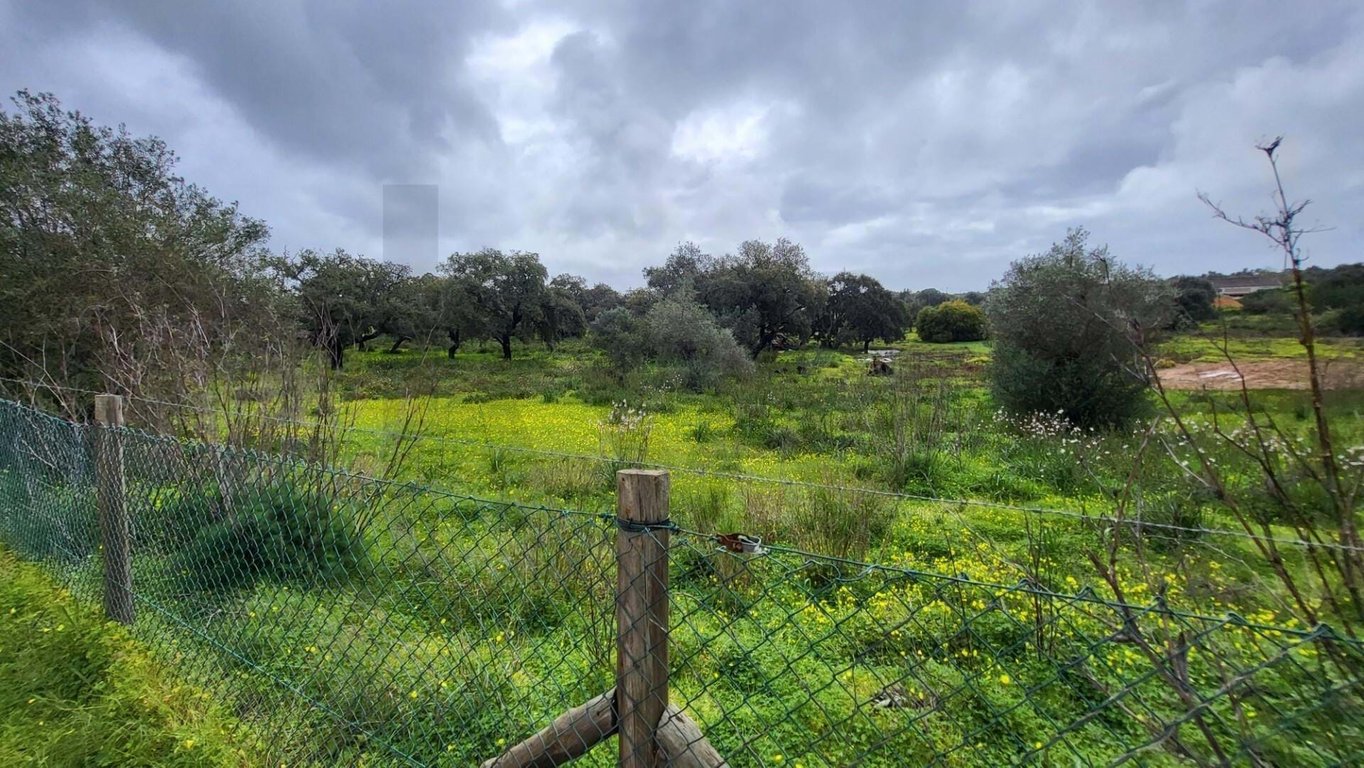 Land in Venda Nova