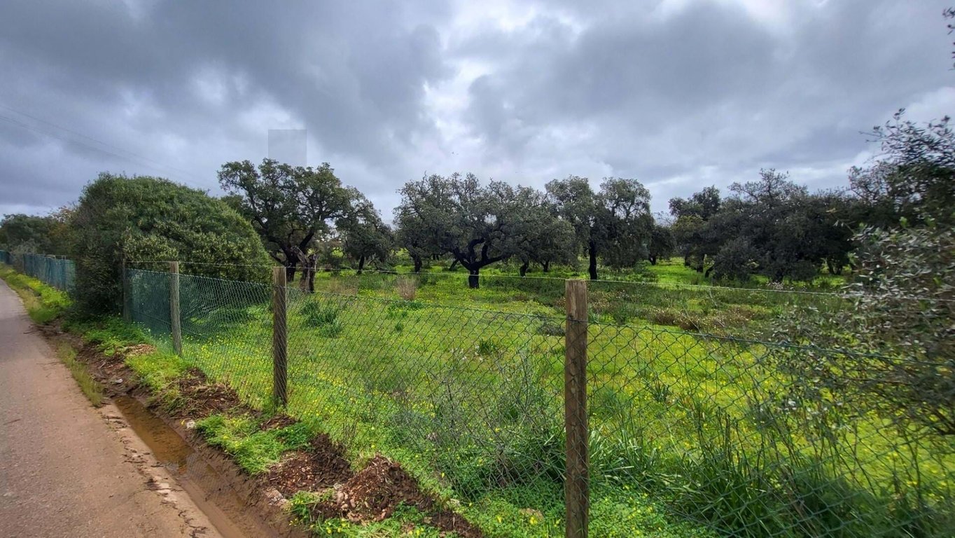 Land in Venda Nova - Image 2