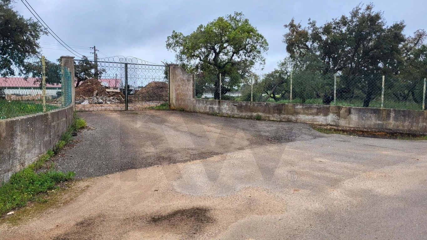 Land in Venda Nova - Image 3