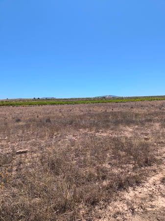 Land in Lel - view 1