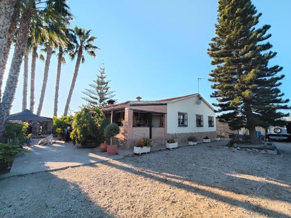 Villa in Elche - view 1