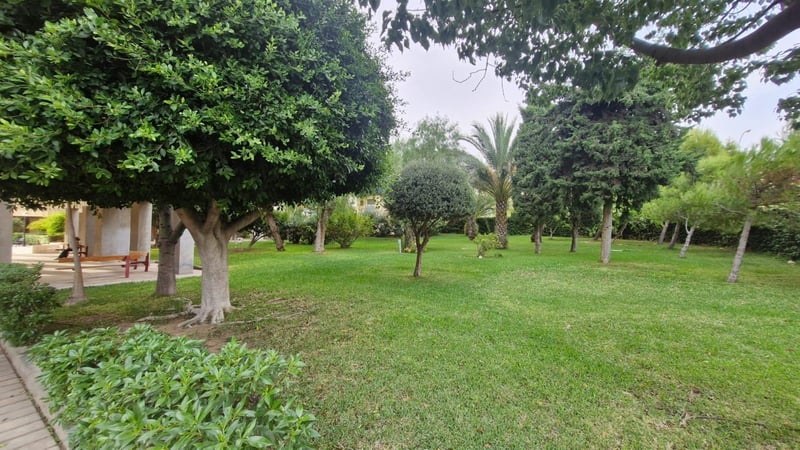 Apartment in Alicante - view 1