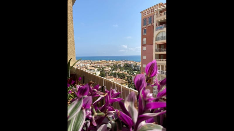 Apartment in Torrevieja - view 1