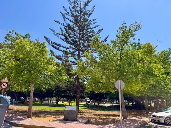 Apartment in Torrevieja - view 1