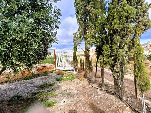 House in Novelda - view 1
