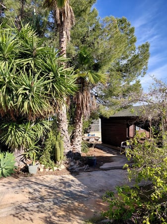 House in La Murada - view 1