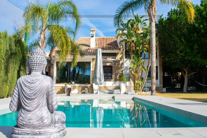 Villa in Algorfa - view 1