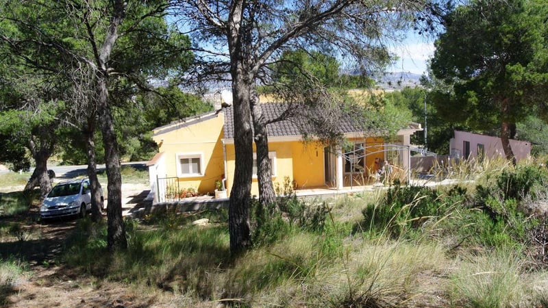 Villa in Jumilla - view 1