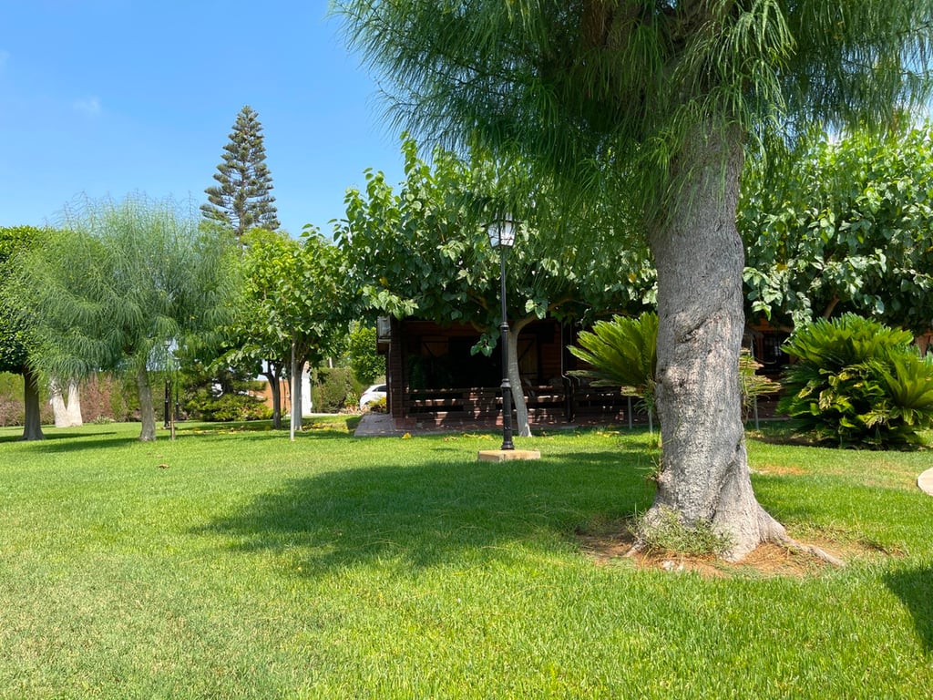 Villa in La Marina - Image 3