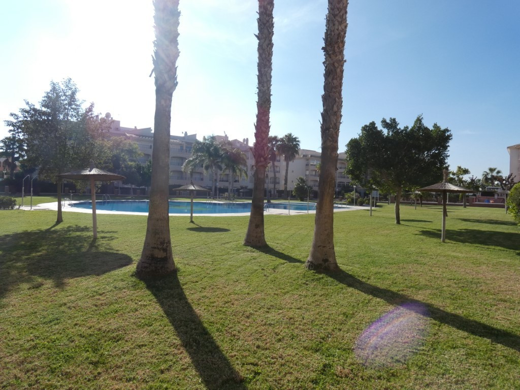 Apartment in Playa Flamenca - Image 2