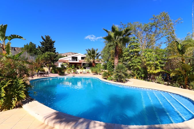 Villa in Aspe - view 1