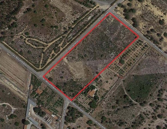 Land in Quinta do Anjo - view 1