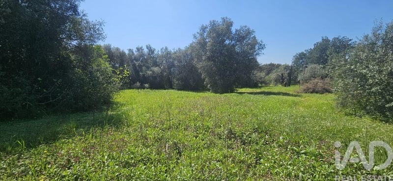Land in Benafim - view 1