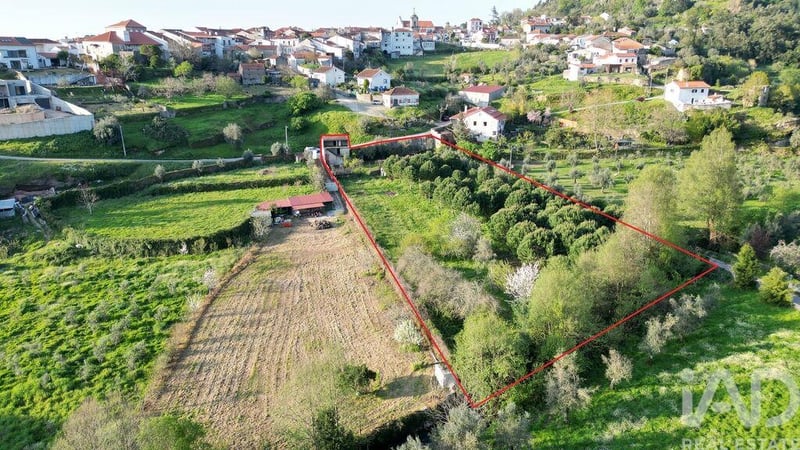 Land in Penela - view 1