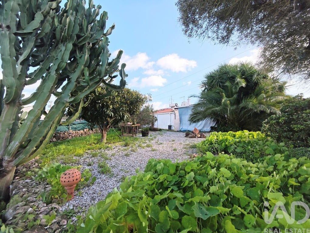 House in Tunes - Image 2