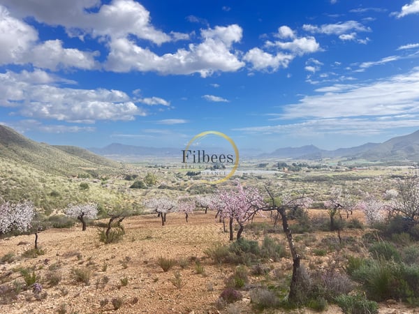 House in Pastrana - view 1