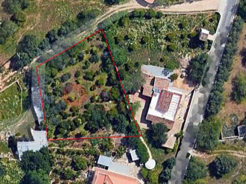 House in Santa Barbara de Nexe - Image 2