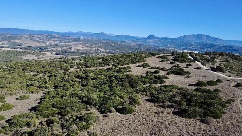 Land in Sotogrande - view 1