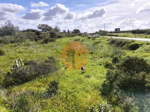 Land in Castro Marim - view 1