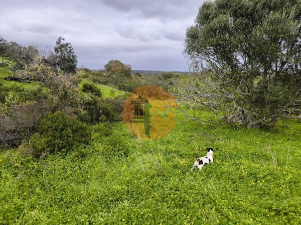 Land in Castro Marim - view 1