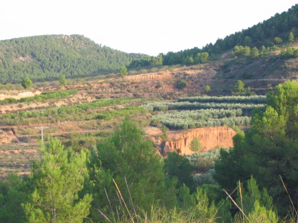 House in Murcia - Image 2