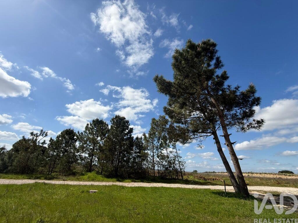 Land in Palmela - Image 2