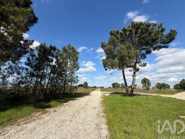 Land in Palmela - view 1