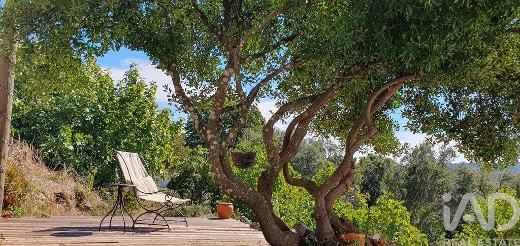 House in Ribeira de Nisa - Image 3