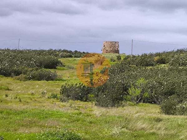 Land in Castro Marim - view 1