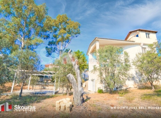 House in Lefkakia - view 1